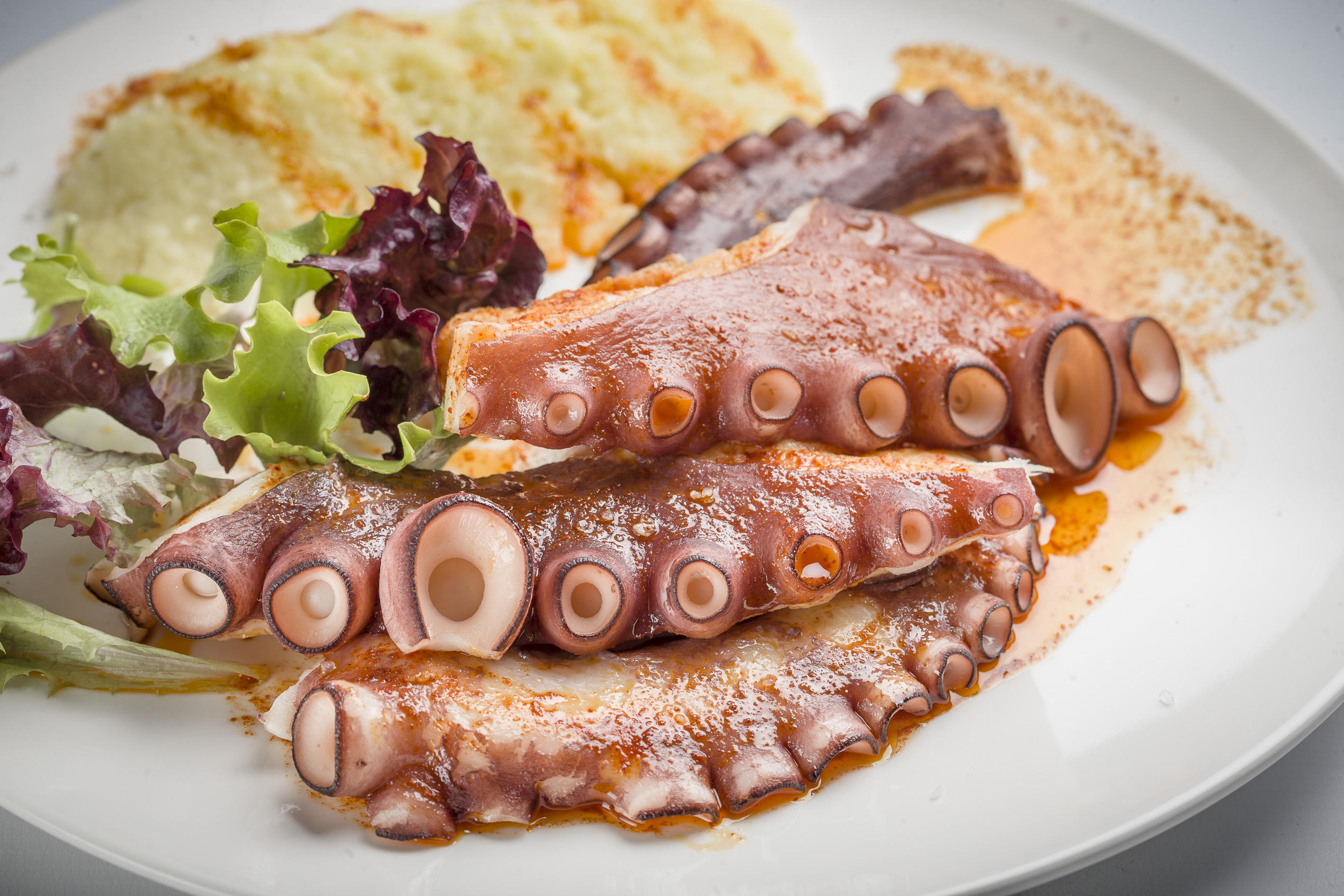 Rejo de pulpo